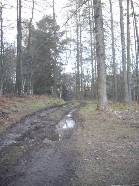 Track north from Sluie Loch