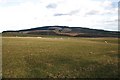 Looking towards Lurg Hill