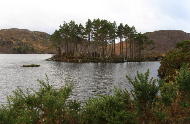 Island in Loch Druim Suardalain