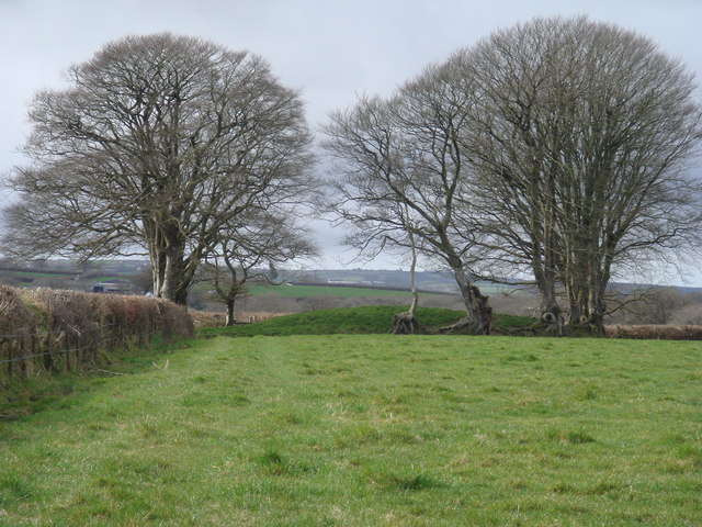 Tumulus near Wrangworthy Cross