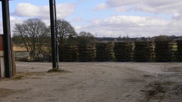 Coppiced wood stacks at Farthings