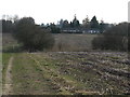 Footpath south to Smock Alley