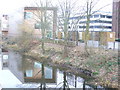 Lightbox and Basingstoke Canal