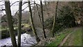 Two footbridges alongside the River Rother