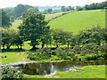 Afon Teifi south of Tregaron, Ceredigion