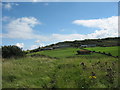 View across farmland towards Bwrdd Arthur and Tan Dinas Farm