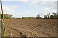 Footpath into Shortlands Copse, Longwood