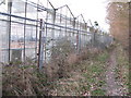 Obsolete greenhouses