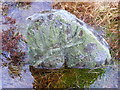 NC8923 : Part of stone circle, at  Learable by sylvia duckworth