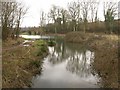 Pond near Woodborough House