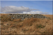 SX6364 : Cairn above Erme Plains by Guy Wareham