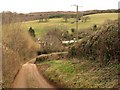 Lane, Lower Aisholt