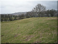 The remains of Egerton Medieval Village