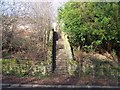 Roscoe Bank Steps, Rivelin Valley, Sheffield