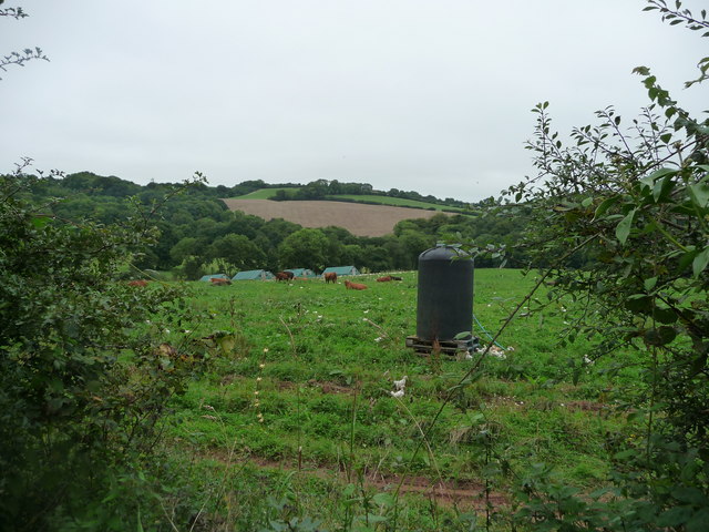 Mid Devon : Countryside