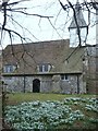 Snowdrops in the churchyard at All Saints Church West Stourmouth