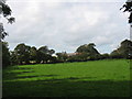 View across pasture land towards Tan-y-felin farmhouse