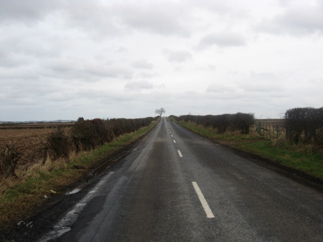 Minor road in Berwickshire