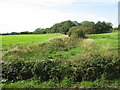 Stream near Bonc Fadog