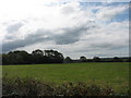 Grazing land north of Bonc Fadog farmhouse