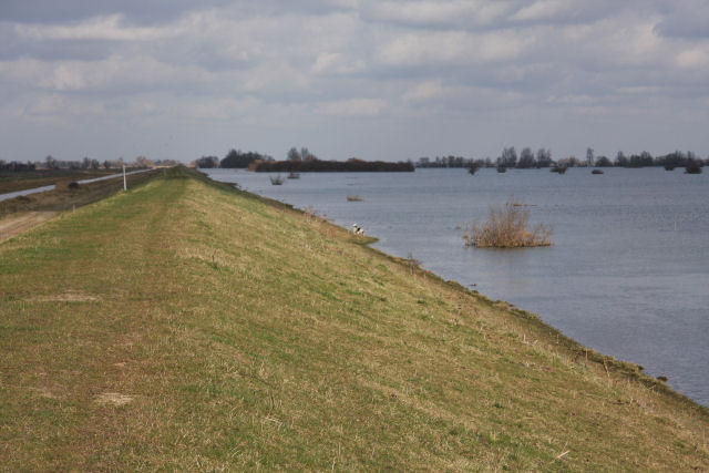 Old Bedford River and the Ouse Washes
