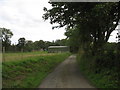 Minor road west of Erddreiniog Farm