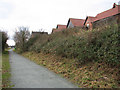 Houses in Mileham Drive