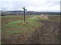 Footpath crossroads near Fairbourne Manor Farm