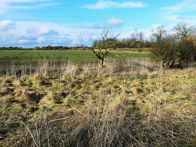 View north from a byway, near Berwick Bassett