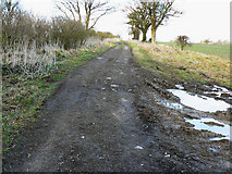 SU0774 : Byway to Winterbourne Bassett by Brian Robert Marshall