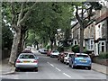 Western Road, Crookes