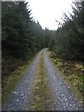 SN7792 : Mynydd Bychan forest track by Rudi Winter