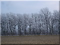 NZ0414 : A heavy hoar frost coats the trees by Andy Waddington