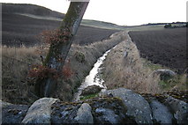 NO2632 : Course of a burn, looking upstream,  that runs into the Knapp Burn by Alan Morrison