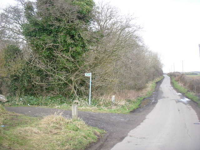 footpath and woods near High Sharpley