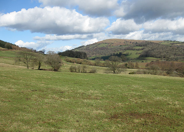 Pastures above the Monnow Valley