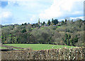 View towards Grosmont