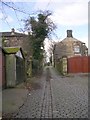 Footpath - Healey Lane