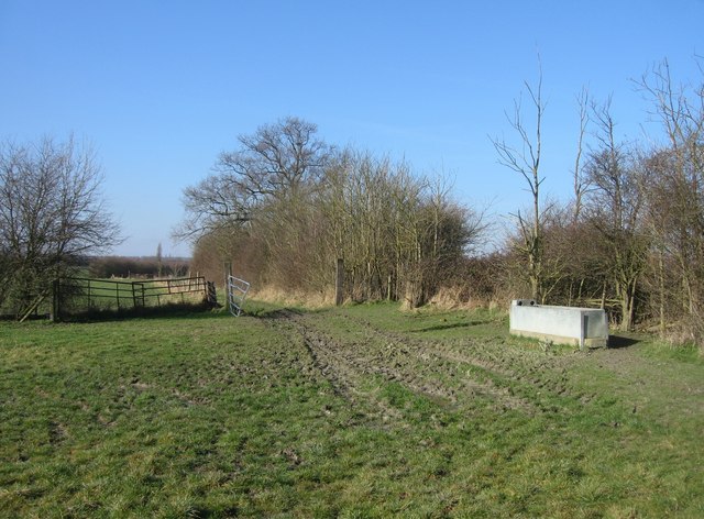 Typical farmland scene