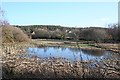 Pond at Fogwatt