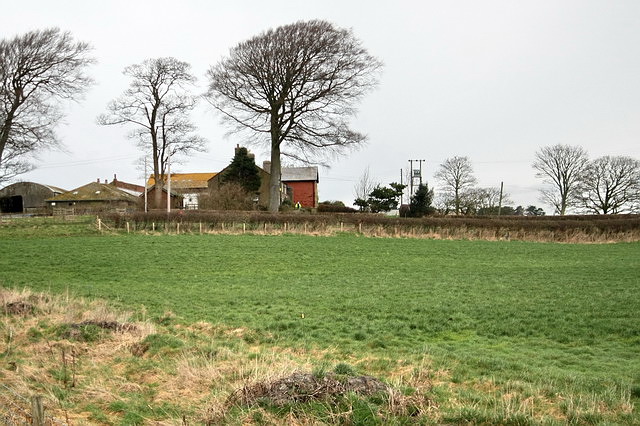Cogie Hill Farm