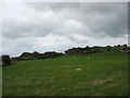 Sheep grazing above the B5108