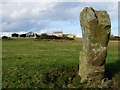 The Warrior Stone, Ingoe