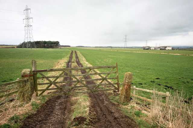 Track to the Wood