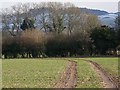 Tram lines near Woodyates