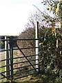 Footpath gate, Cobley