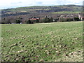 Across Buckton Vale