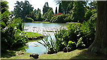 TQ4124 : Ten Foot Pond, Sheffield Park by Peter Trimming