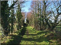 SX4157 : Bridleway across Churchtown Farm nature reserve by Derek Harper