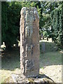 Ancient  Christian Cross. (Camus Graveyard, Coleraine)